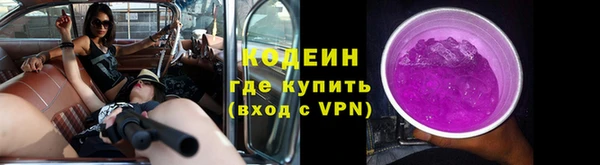 тгк Каменногорск