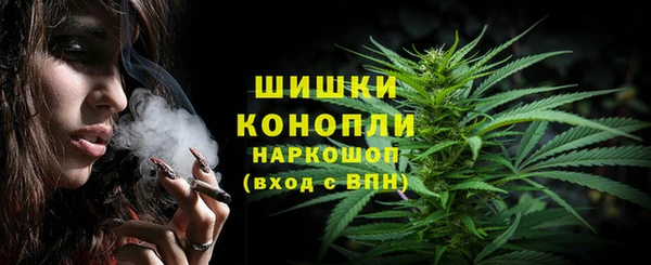 mix Инта