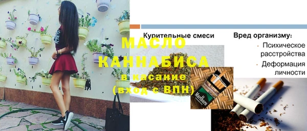 mix Инта