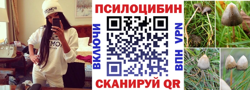 Галлюциногенные грибы Cubensis  Карталы 