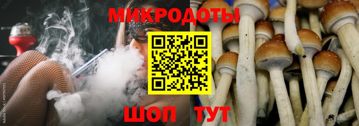 где найти   Галлюциногенные грибы мухоморы  Вход с VPN  Карталы 