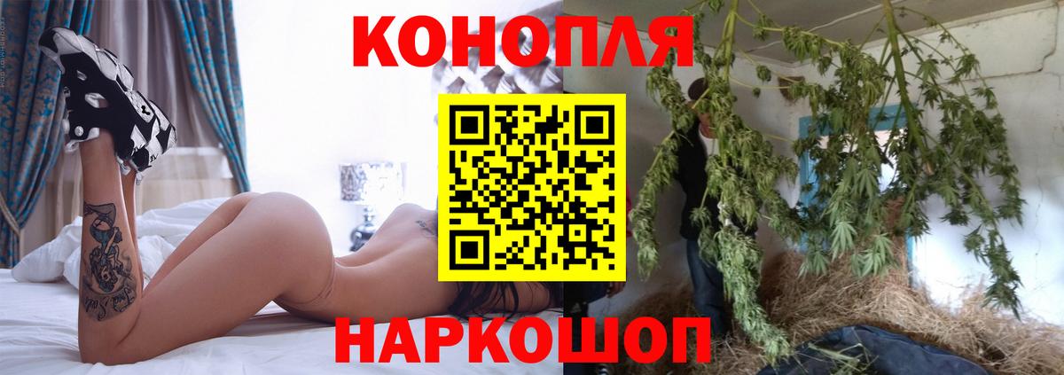 Бошки Шишки гибрид Карталы